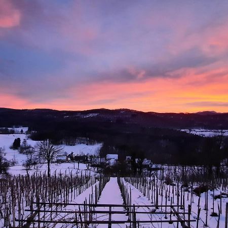 Vineyard Cottage Kulovec Ursna Sela Екстер'єр фото