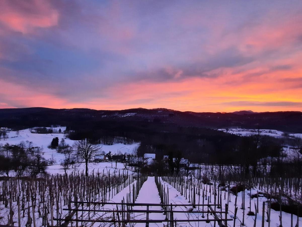 Vineyard Cottage Kulovec Ursna Sela Екстер'єр фото